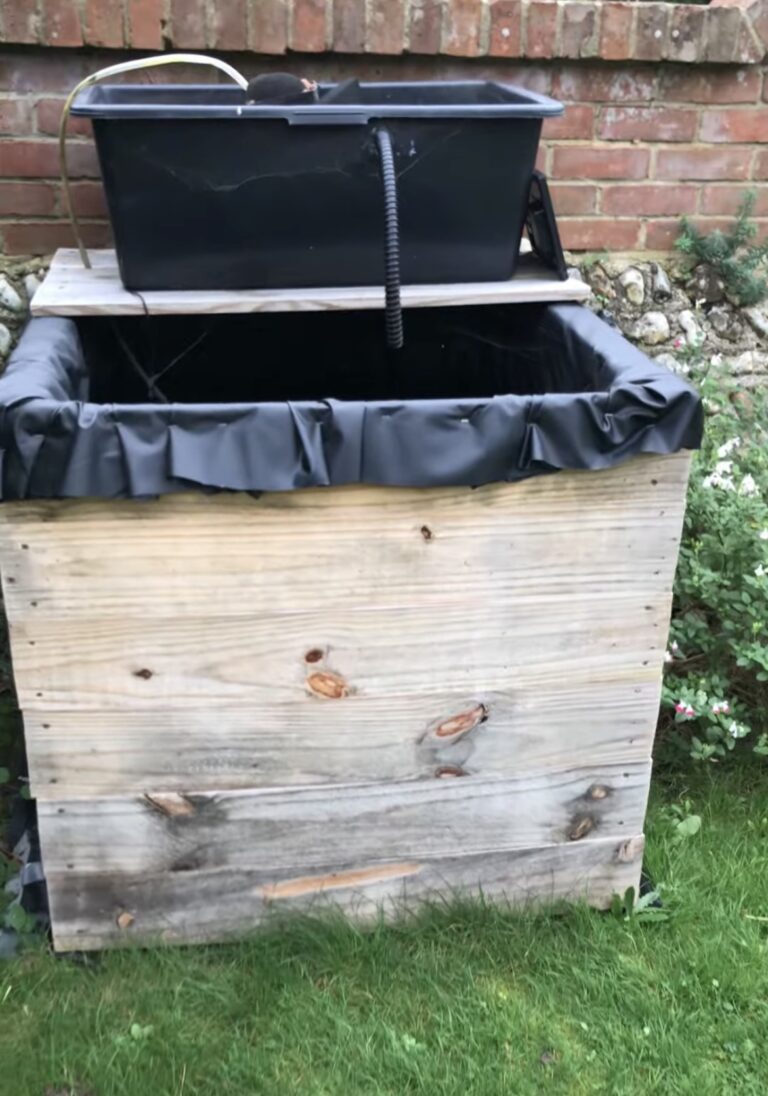 watercress aquaponics filter setup.